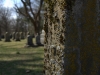 cemetery