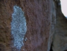 soft bruise